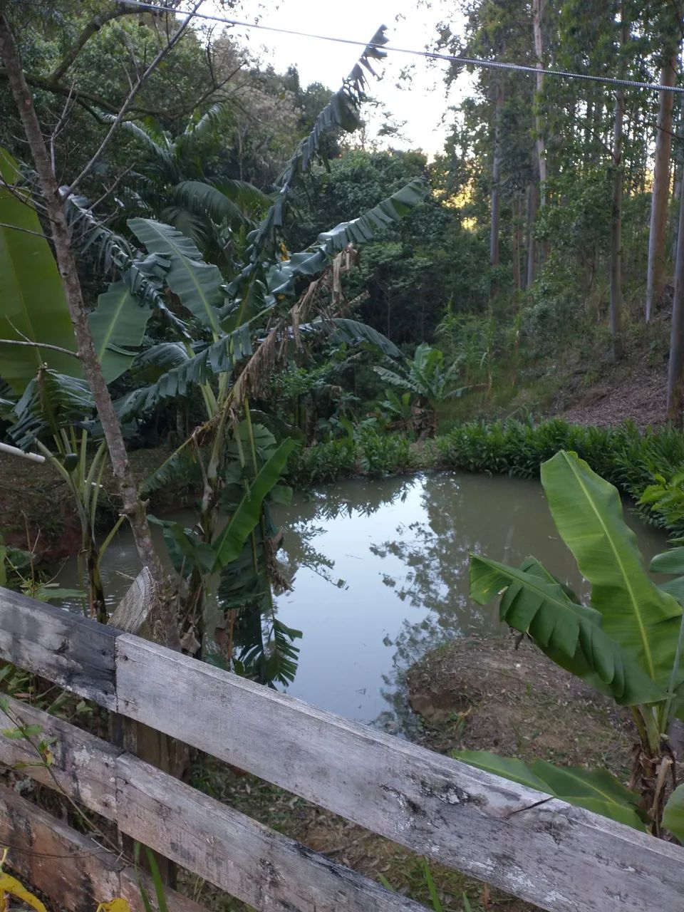 Sitio em são Bonifácio - 20,000 metros - Foto 5