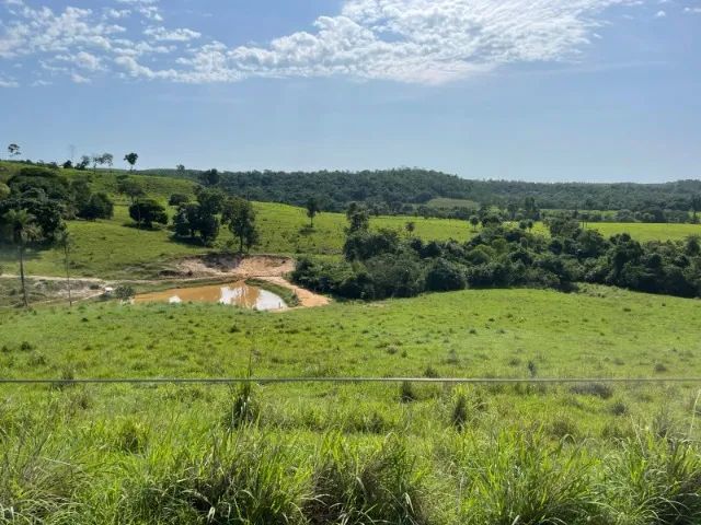 Fazenda à Venda Região nobre do TOCANTINS. - Foto 3