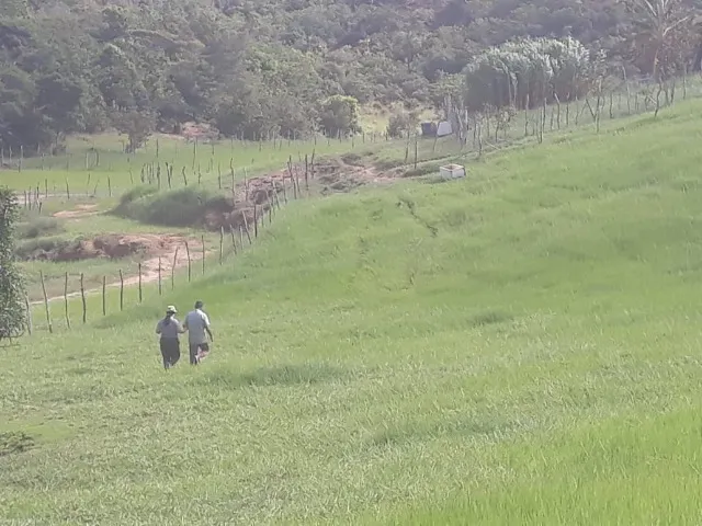 Fazenda em Japaratinga 10 Hectares