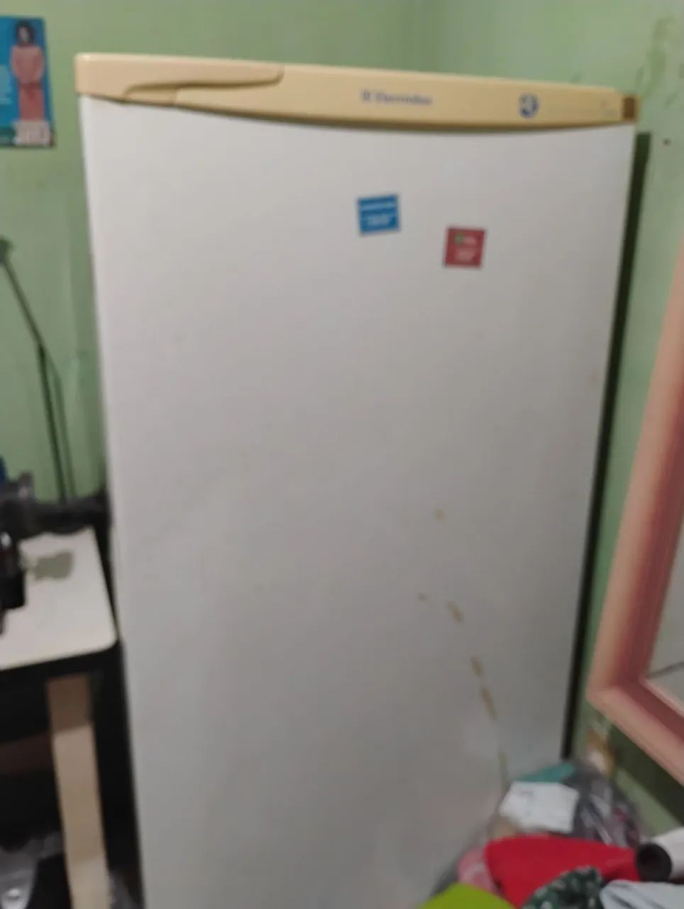 Vendo essa geladeira 