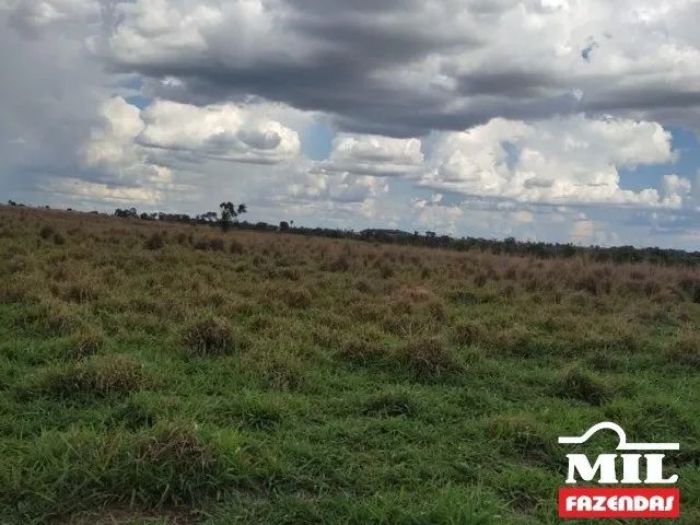 Arrendamento Agrícola em Nova Crixas-GO (726 Há) - Foto 3