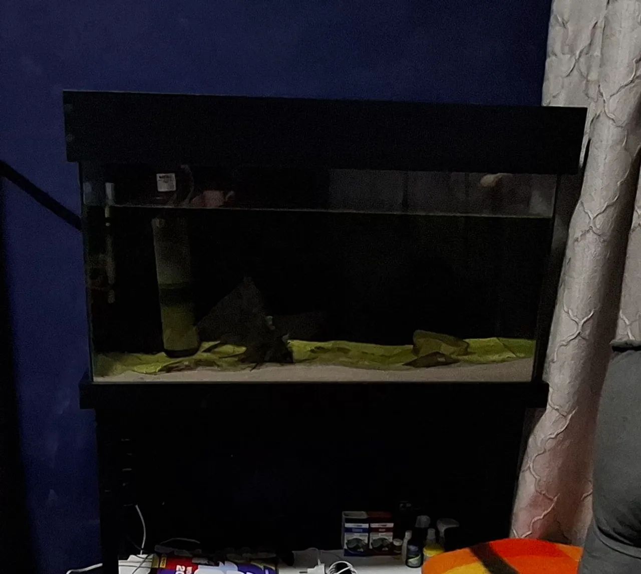 Aquário  - Foto 5