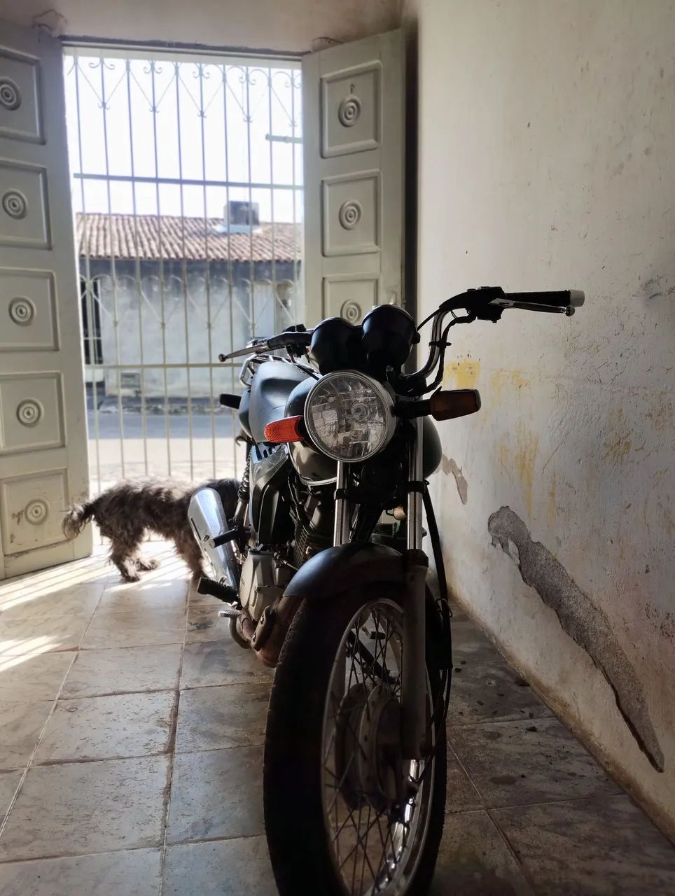 Fan KS 125 