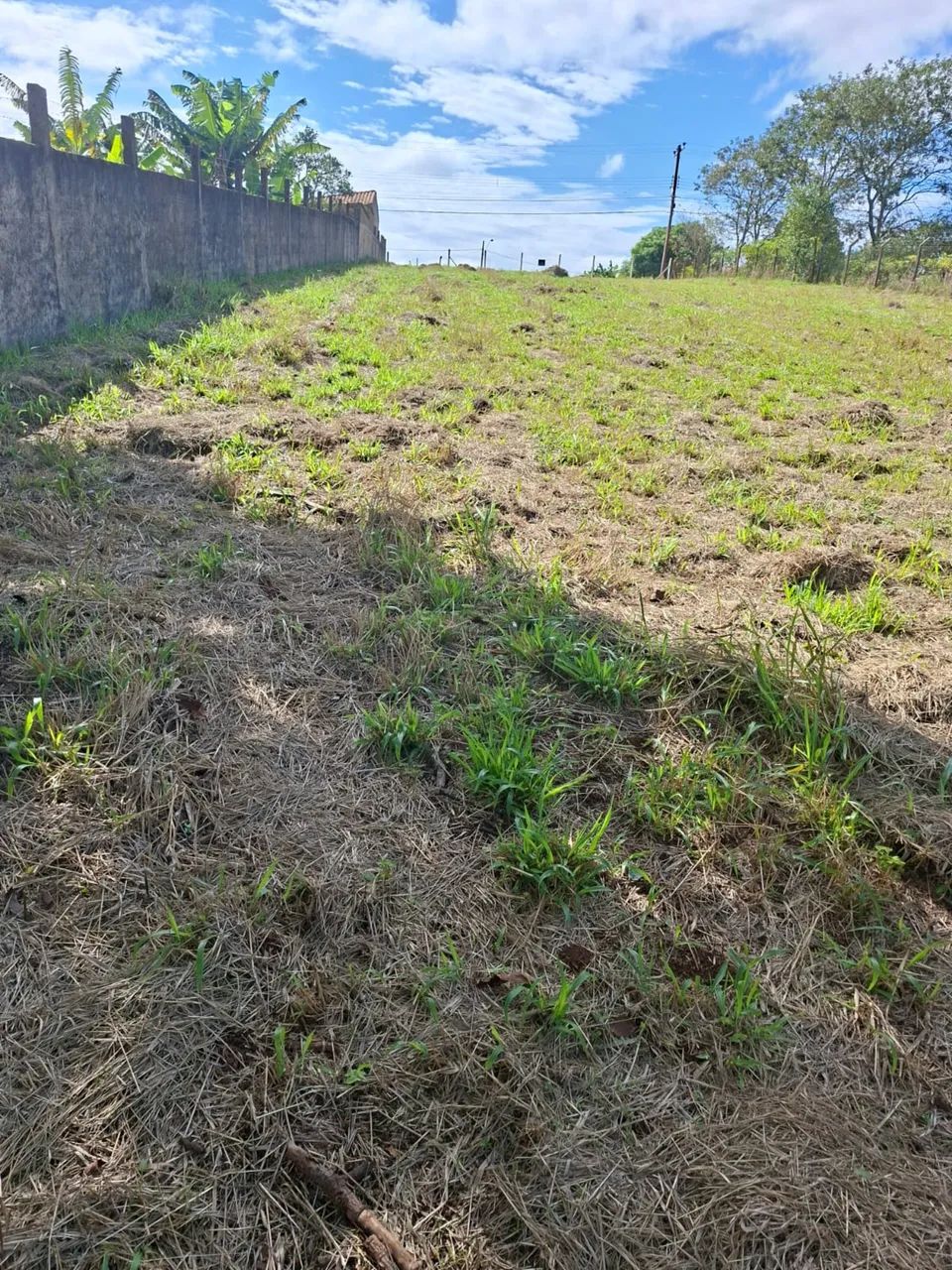 Terreno Pilar do Sul  - Foto 4