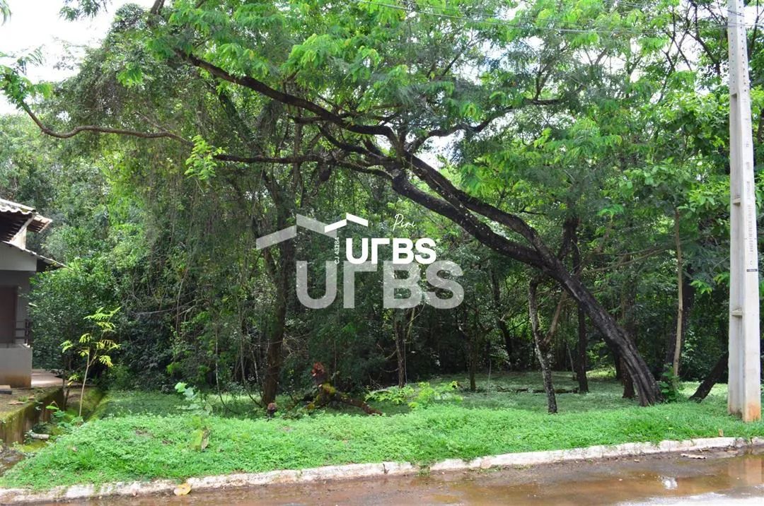 LOTE À VENDA EM PIRENÓPOLIS COM DIVISA PARA A MATA COM 702m² - Foto 3