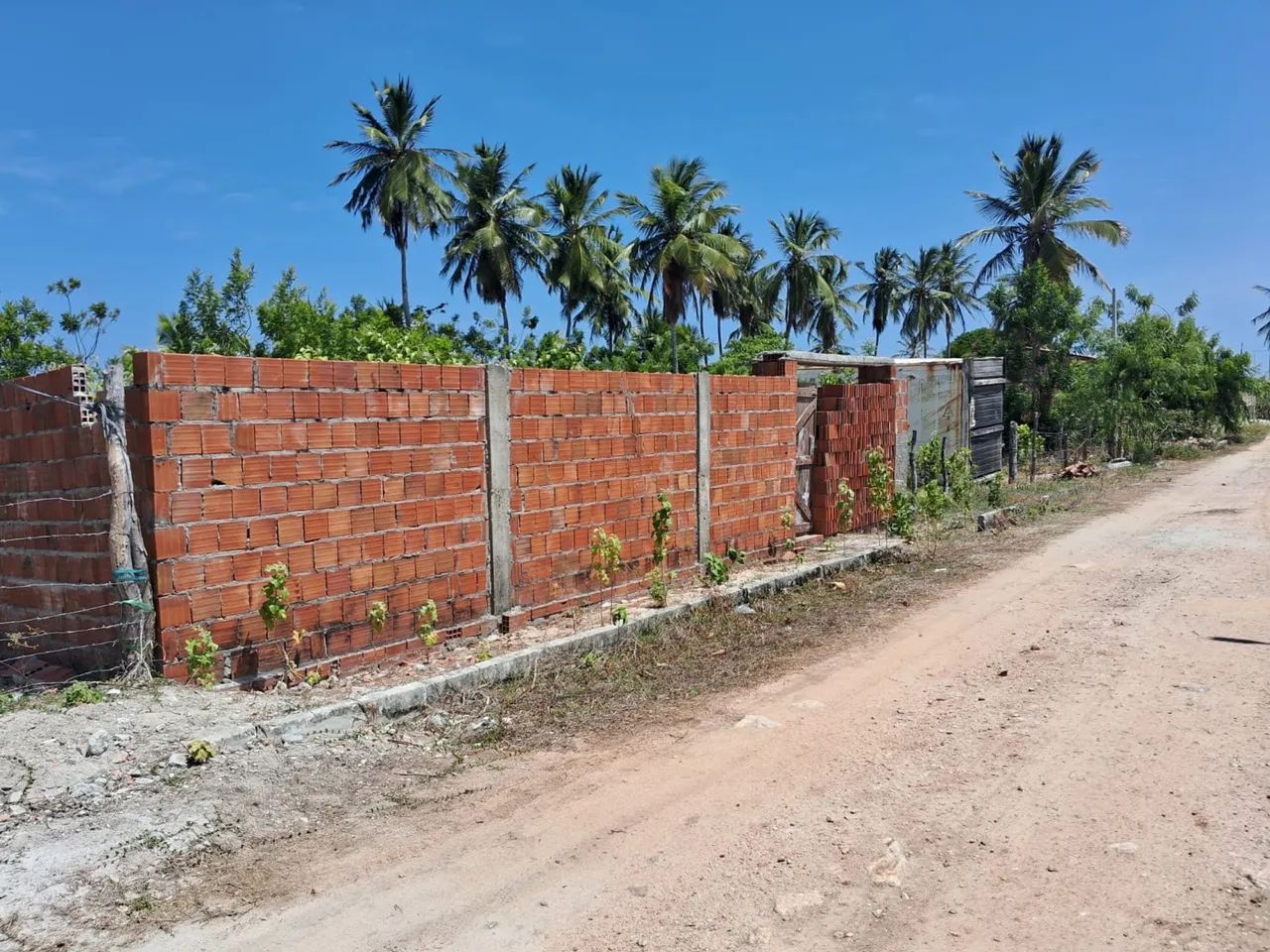 Três lotes medindo 6x25 cada próximo a praia de barra nova  - Foto 5