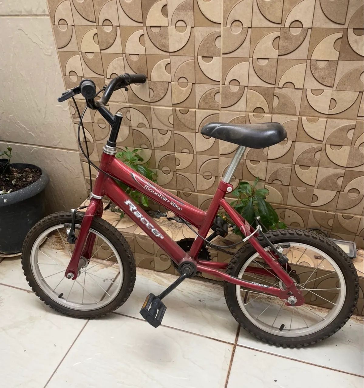 Bicicleta