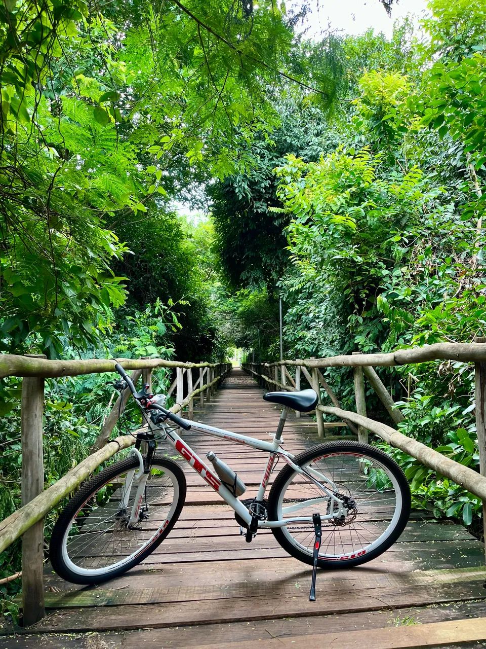 Bicicleta GTS Aro 29