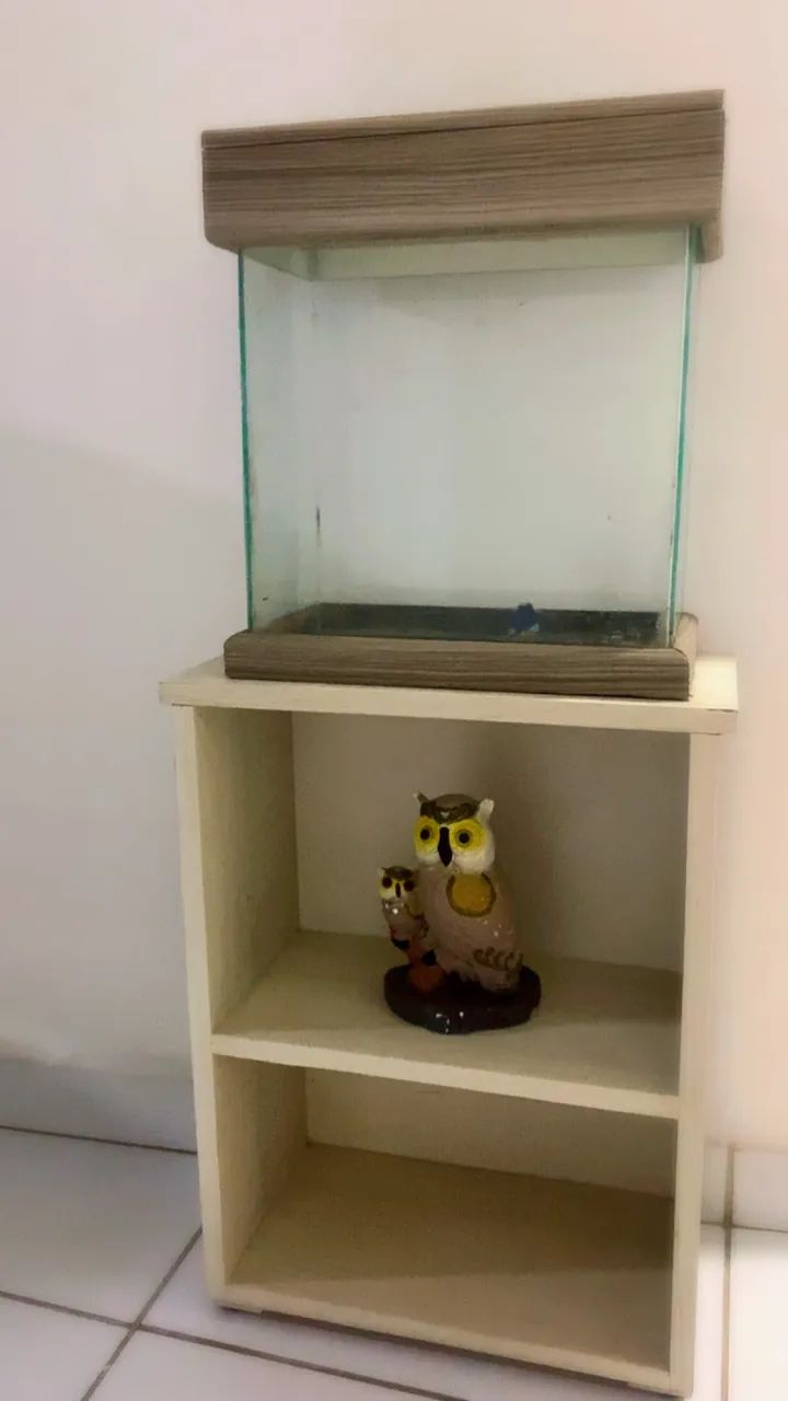 Aquário - Foto 3