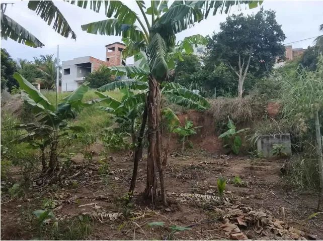 Terreno a venda! - Foto 5