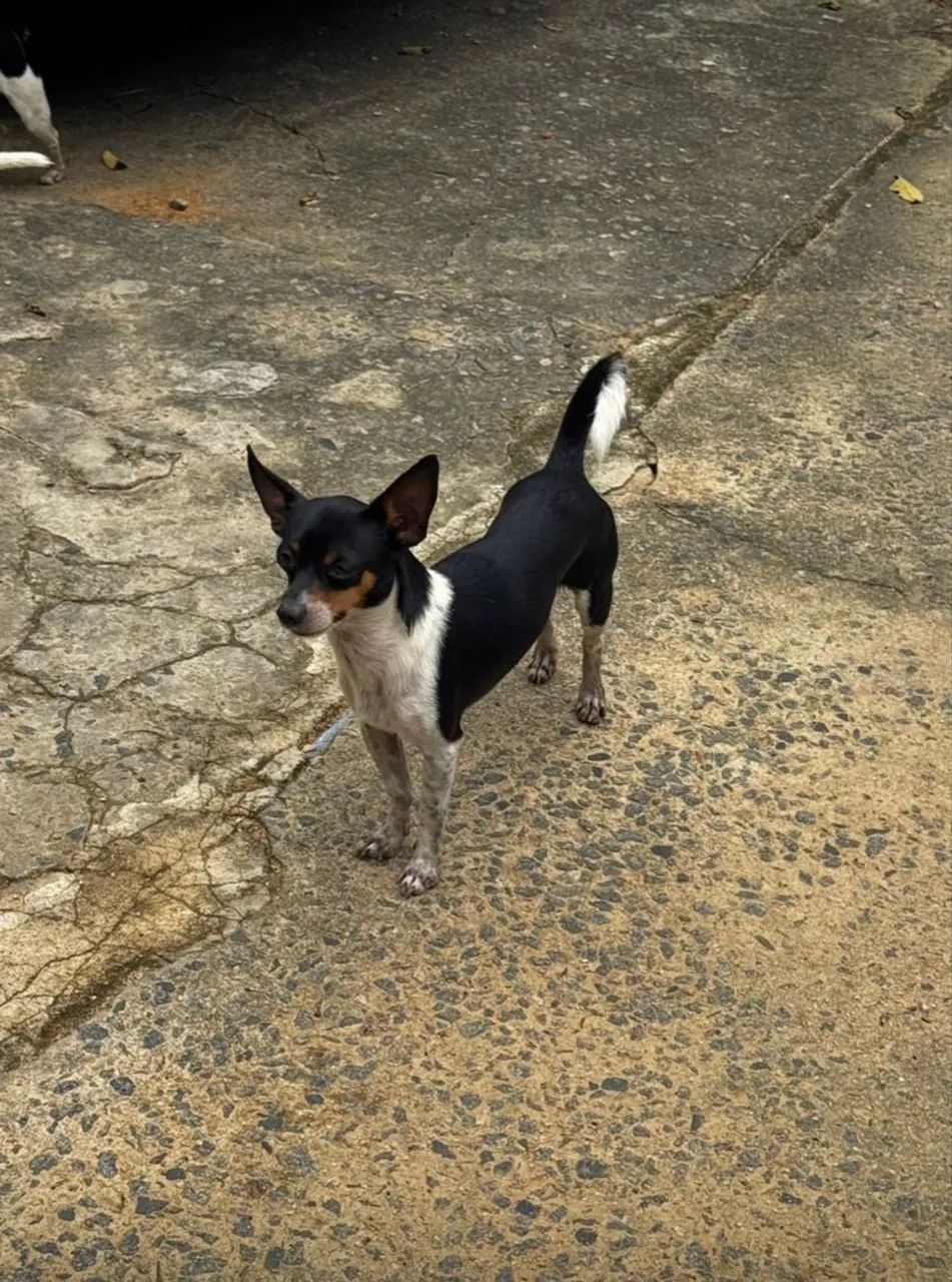 Doação 