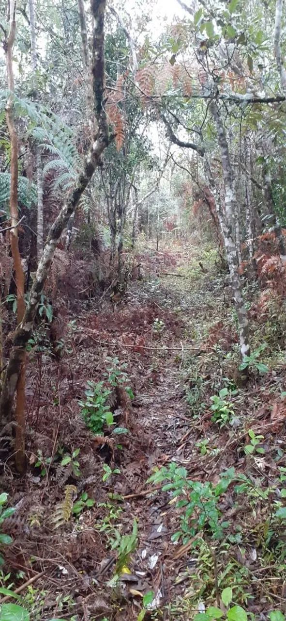Em Rancho Queimado 2 hectares a venda  - Foto 2