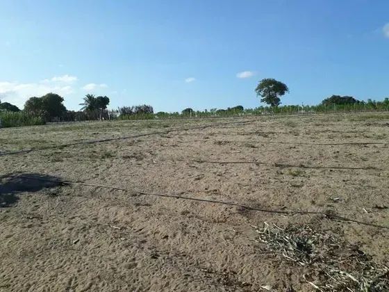 Granja com 1.5 hectares em lagoa salgada - Foto 2