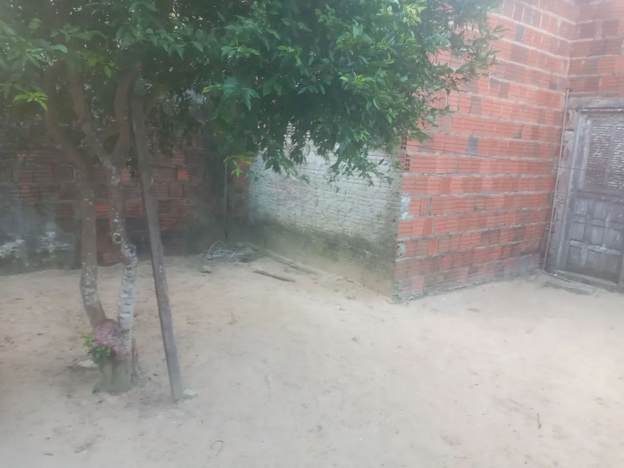 Casa pravende - Foto 3