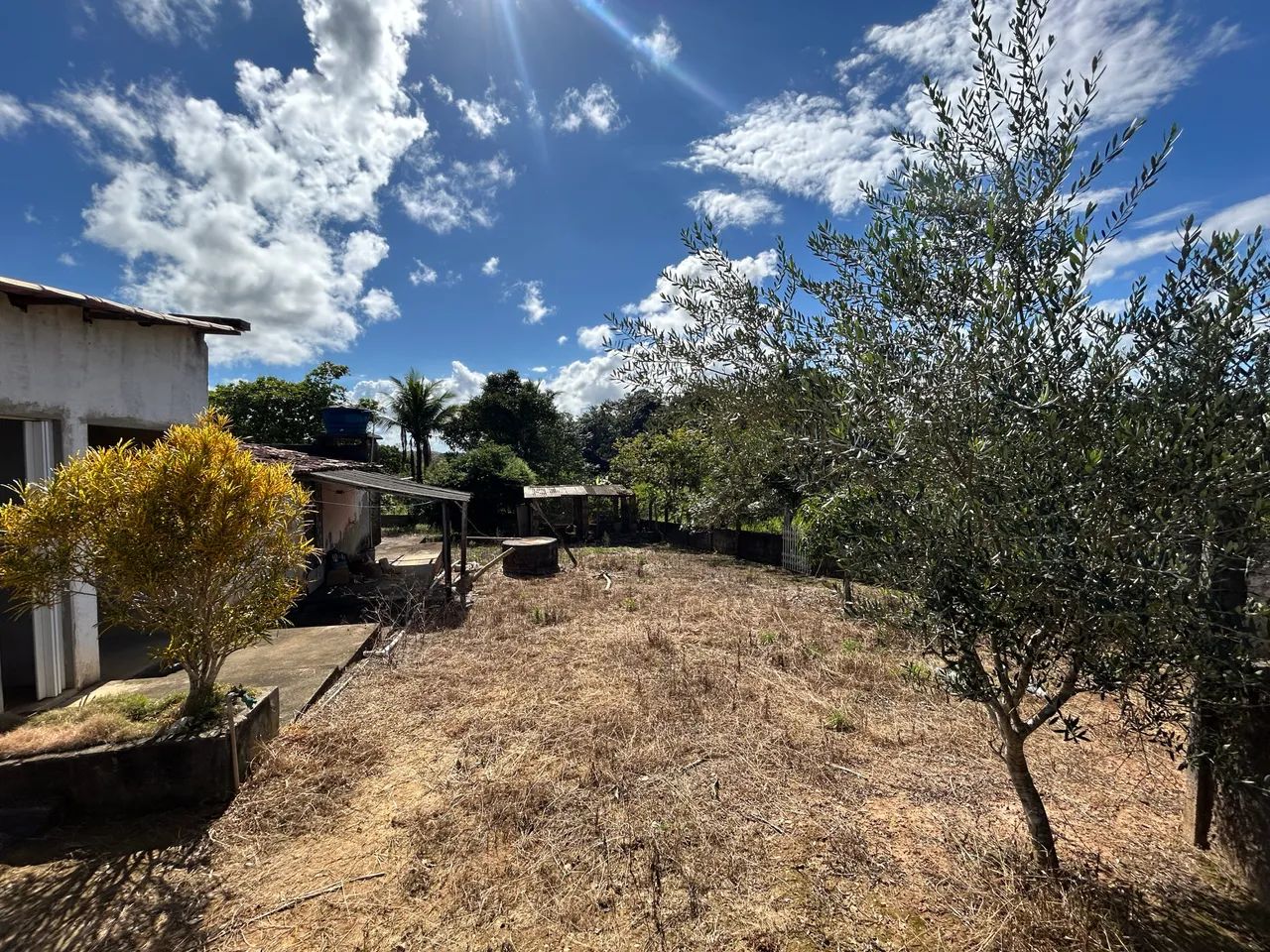 Vende-se Chácara no Povoado Riachão do Teté, Estância/SE - Foto 5