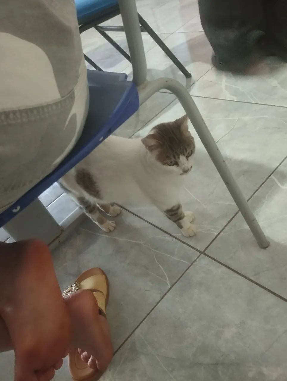 Doaçao responsável  - Foto 2