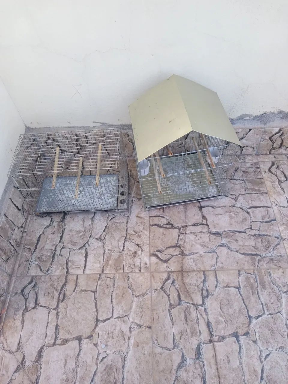 Viveiros  - Foto 3