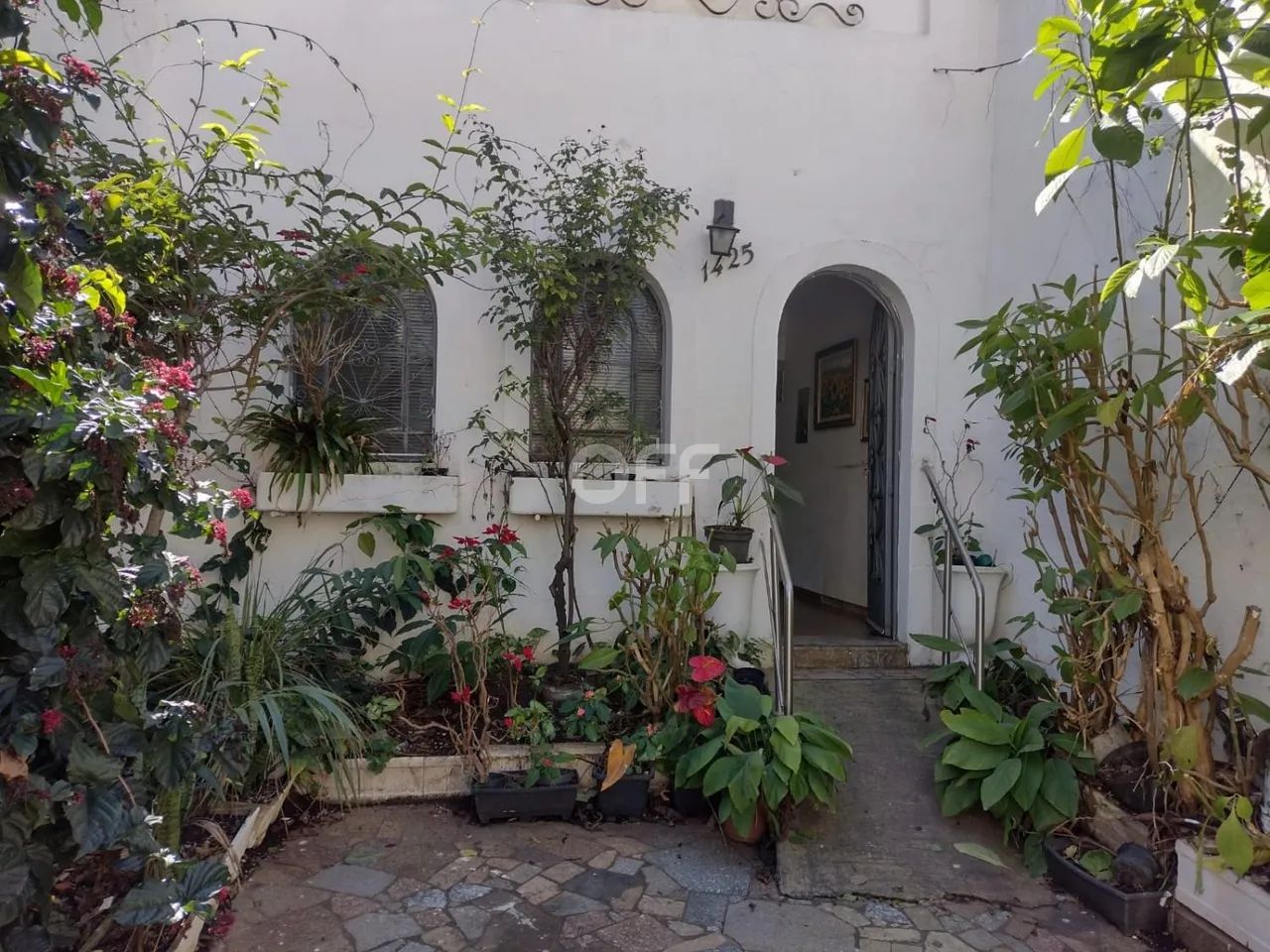 casa - Cambuí - Campinas