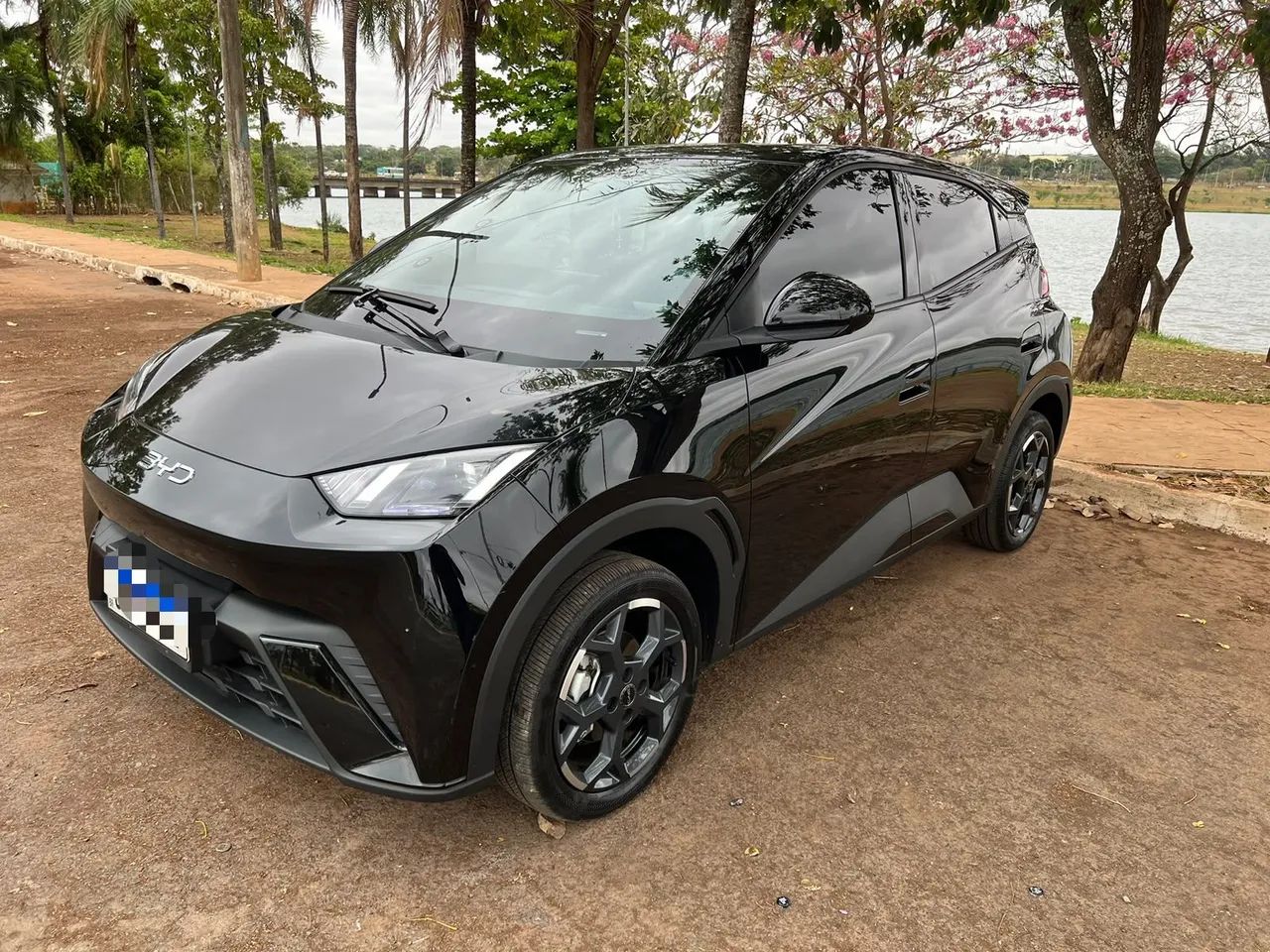BYD Dolphin Mini (Elétrico) 2026 - Foto 2