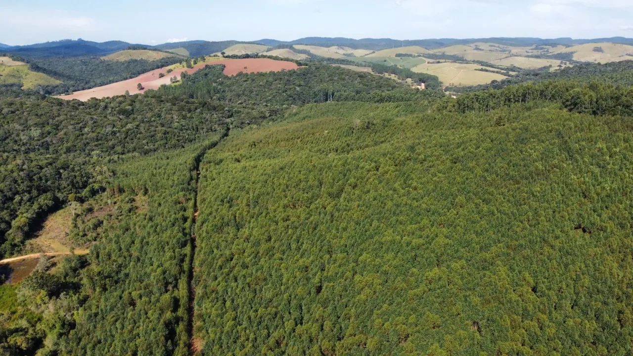 Fazenda   em Ribeirão Branco SP - Foto 4