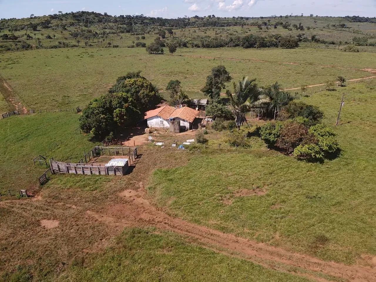 Fazenda - Foto 5