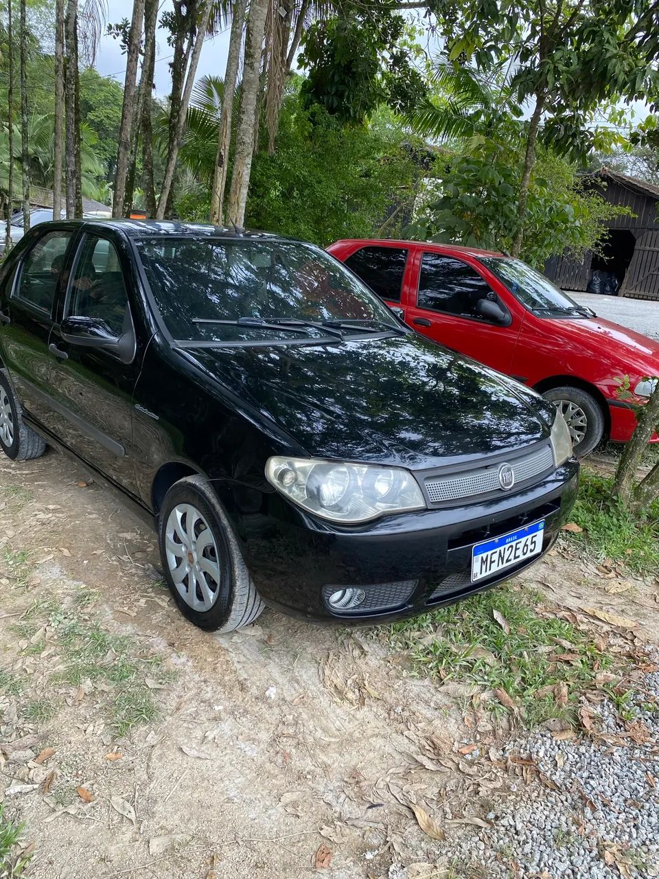 Fiat Palio Palio Celebration 1.0 Fire Flex 8V 4p 2009