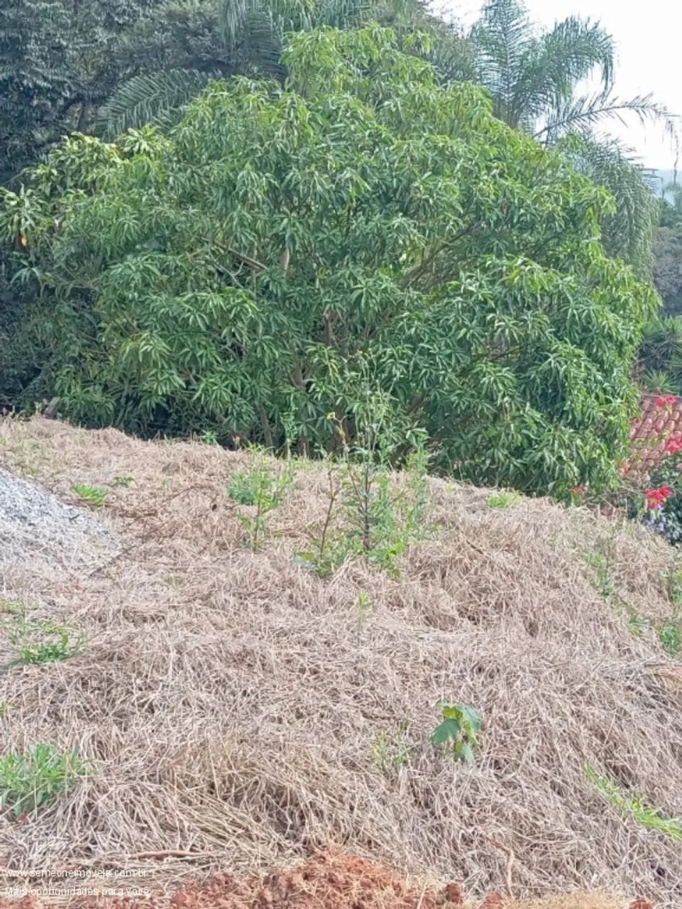 TERRENO COM ESCRITURA DE 1751m² E POÇO JA COM UMA KITNET EM ATIBAIA - Foto 4