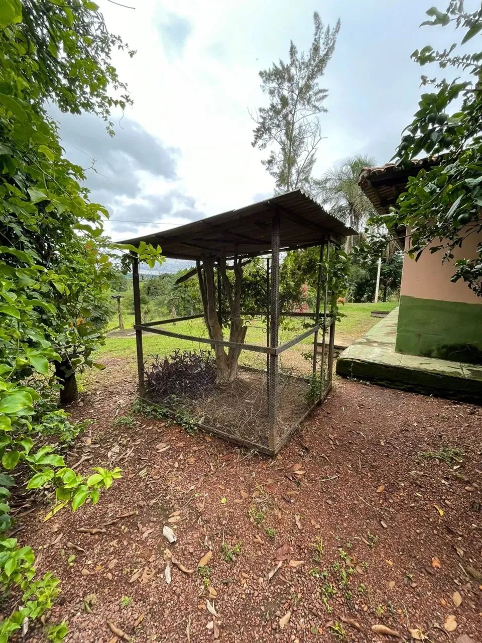 fazenda sao miguel passa quatro - Foto 2