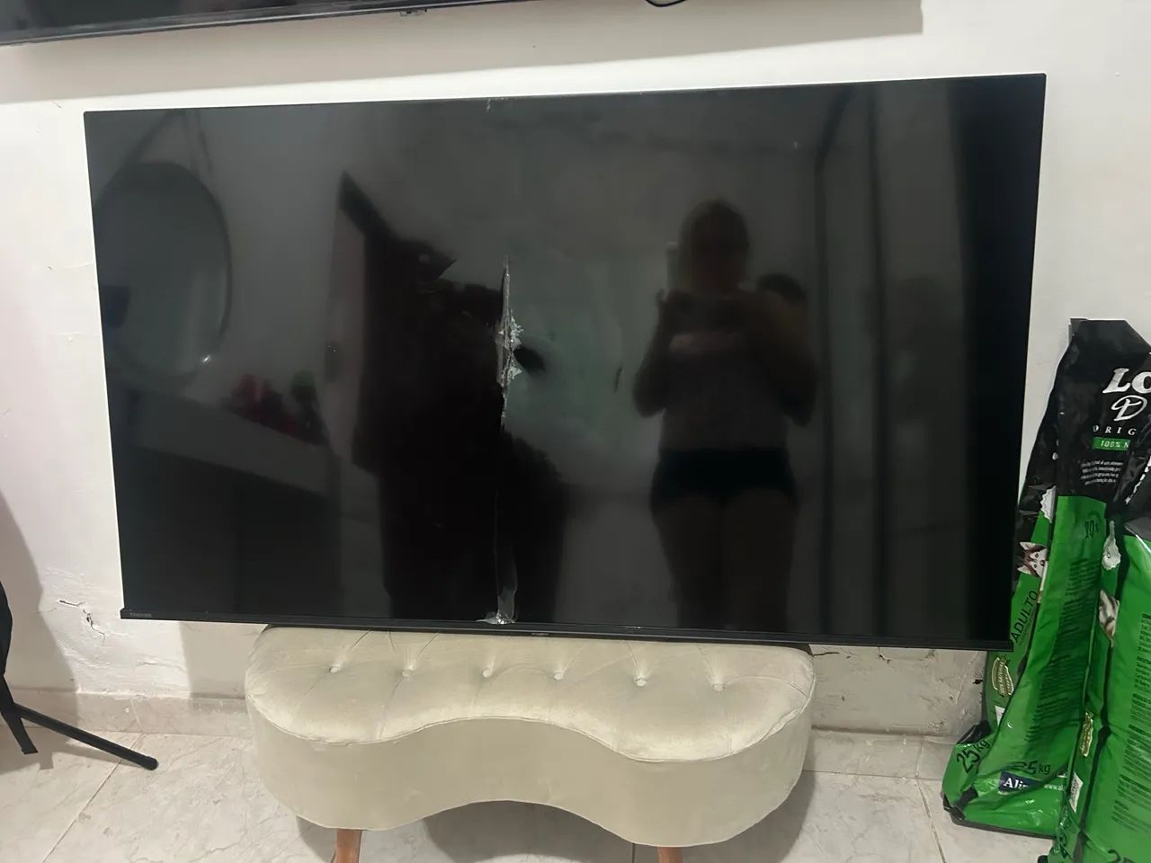 TV Toshiba 58" com defeito - para retirada de peças 