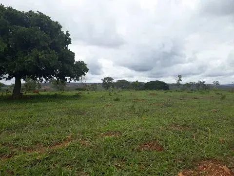 FAZENDINHAS com 20 mil mts perto do asfalto - Foto 2
