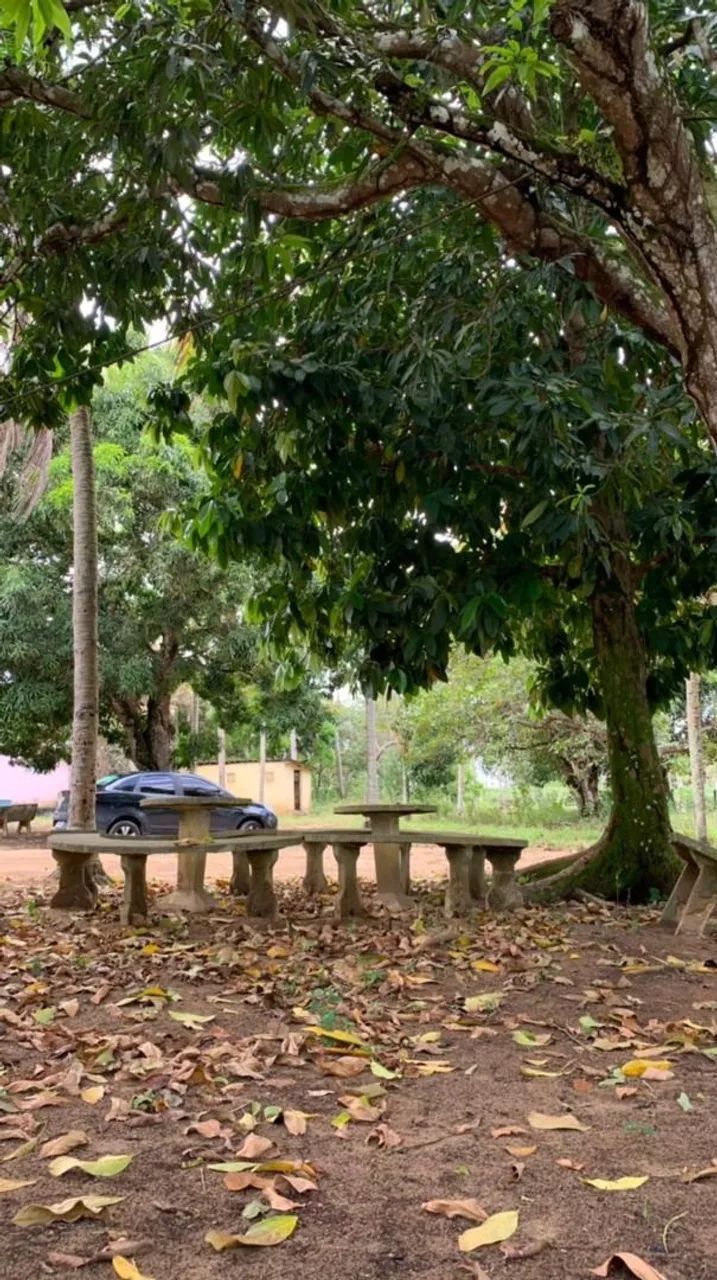 Sítio Rural à venda, Centro, Alhandra - . - Foto 5
