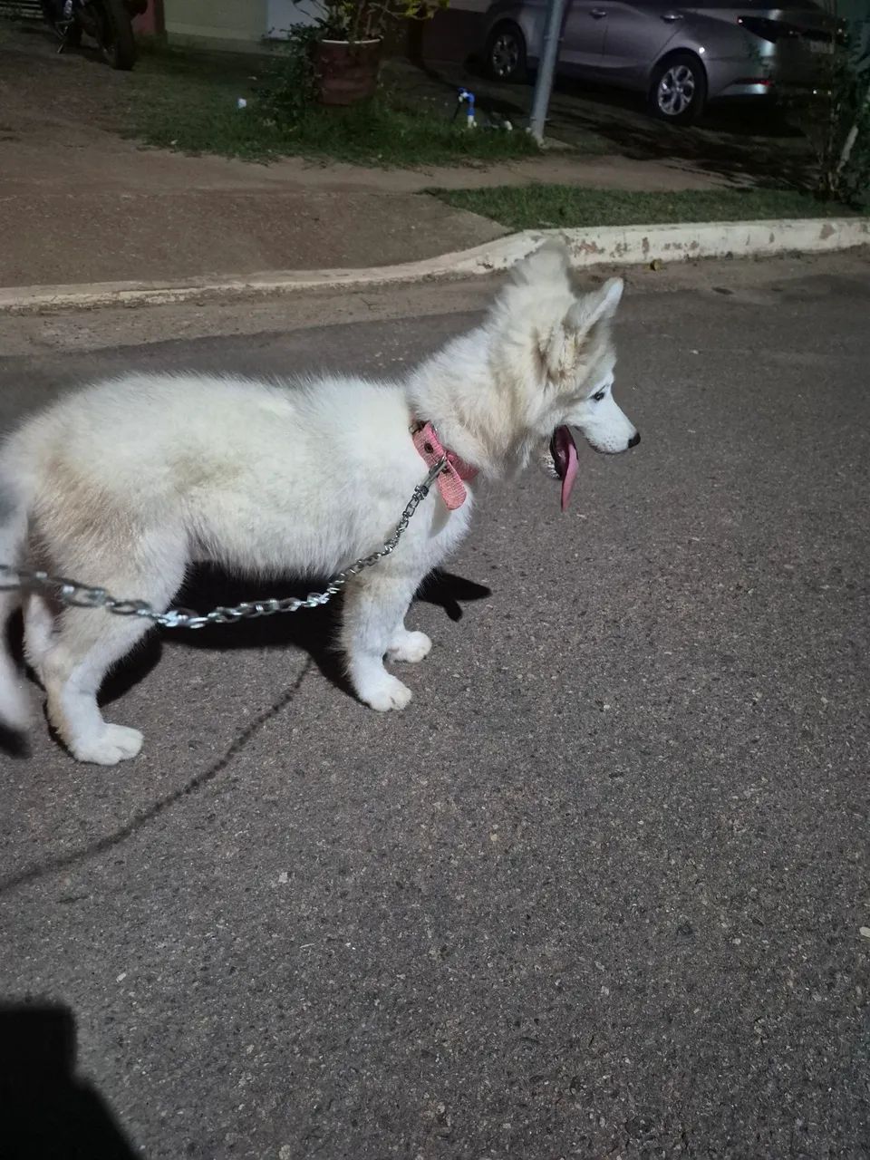 Vendo 700 reias 