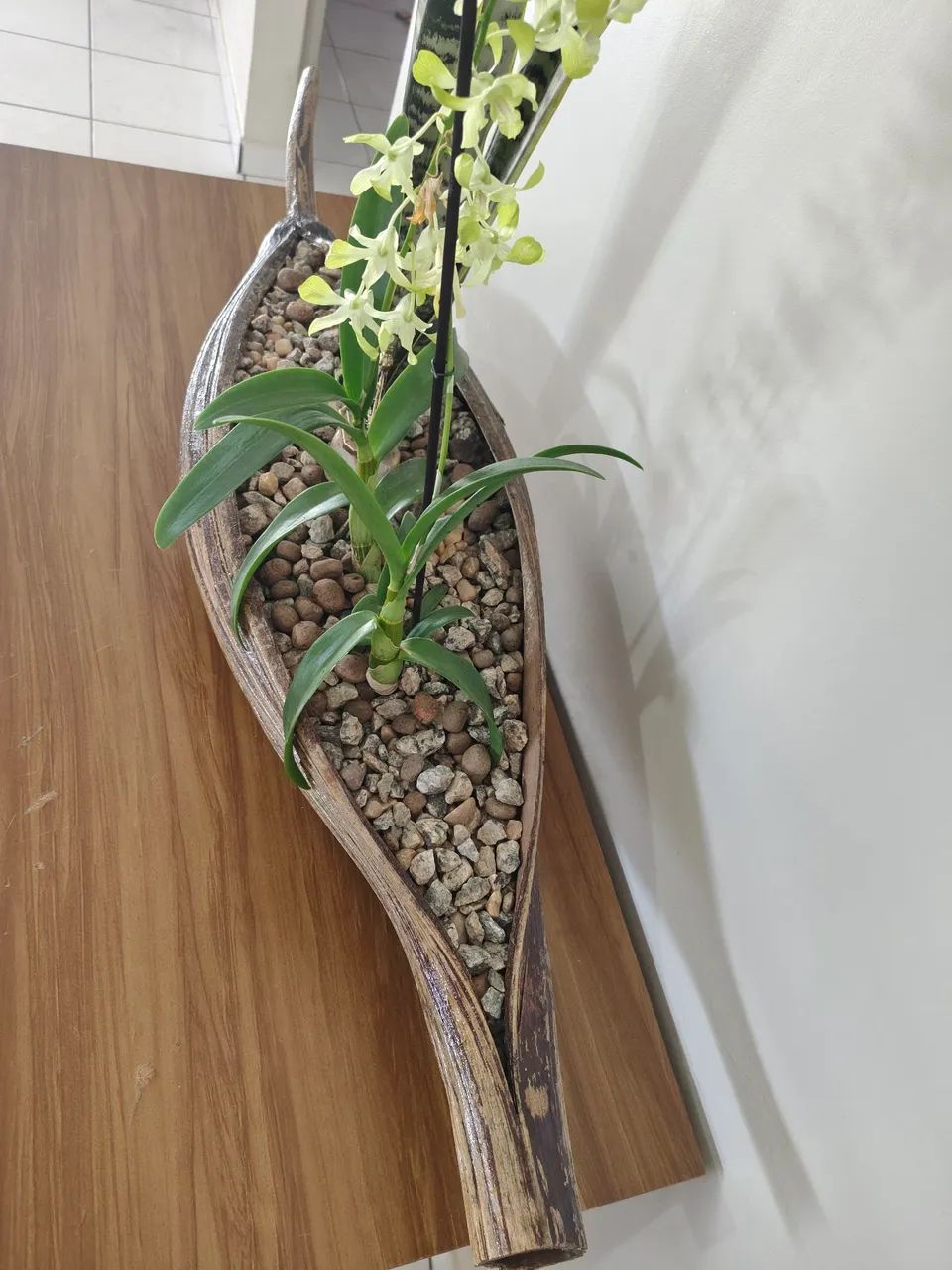Vendo flor.  - Foto 2