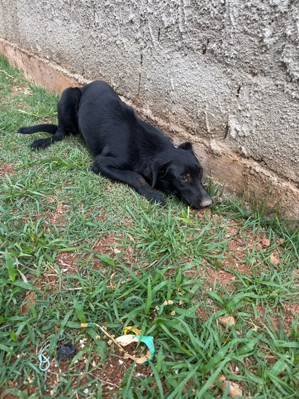 Doação doa-se  - Foto 4