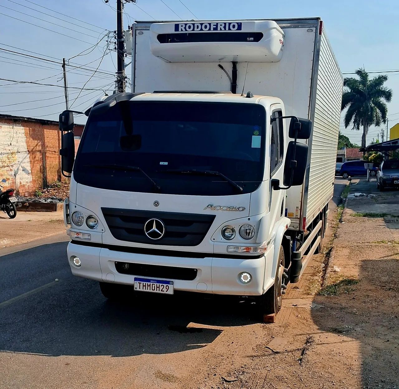 Motorista cat.: D disponível 