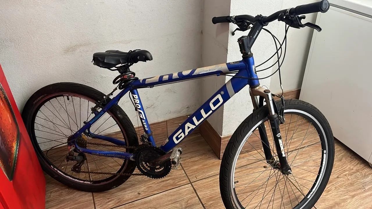 Bicicleta Gallo Com 6 marcha