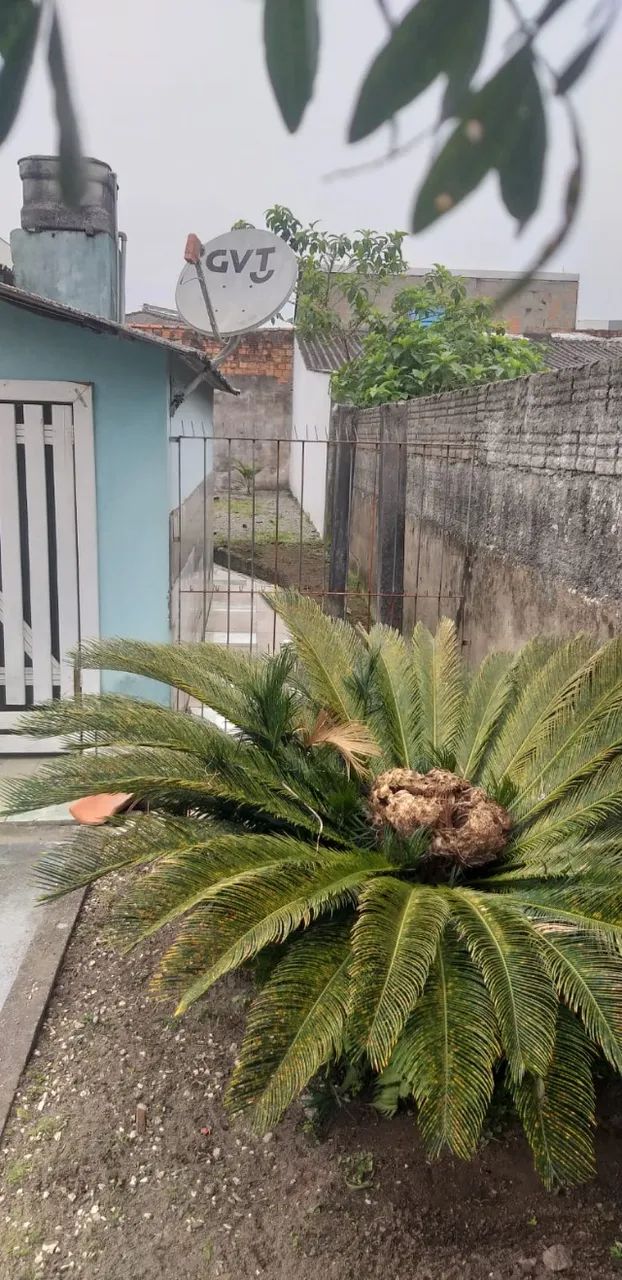 Casa de Alvenaria em Barreiros - Próximo da Havan - Foto 4
