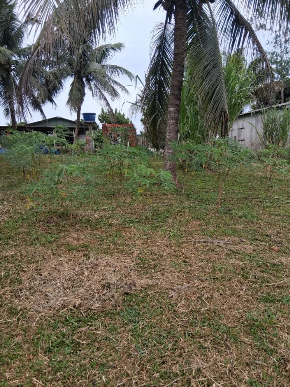 Vende-se um terreno medindo 12x30 - Foto 5