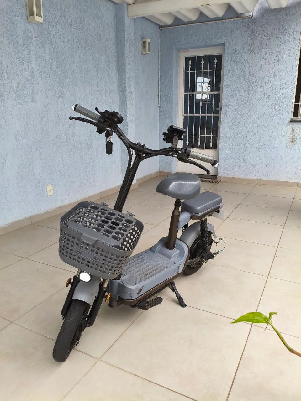 Autopropelido NXT Zilla 2024 800w