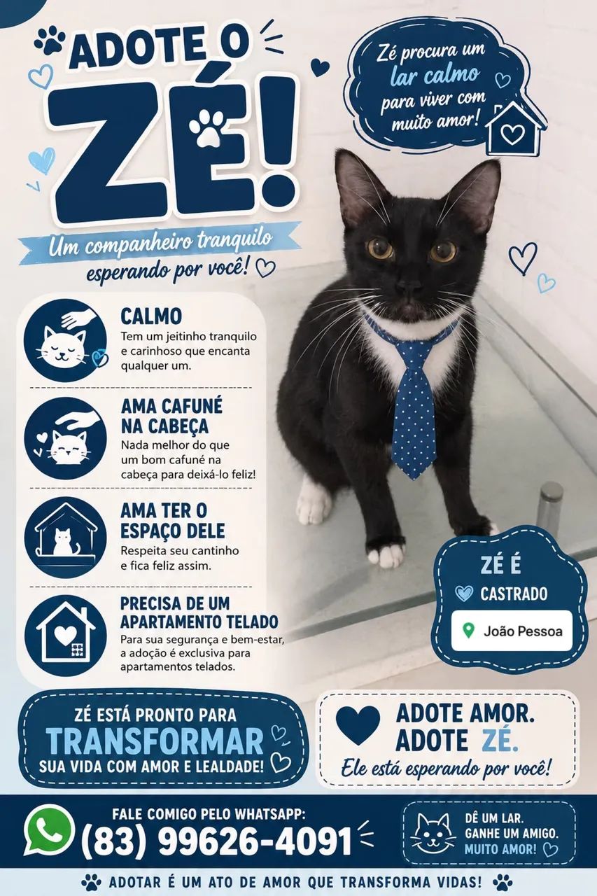 Doação de Gato - Foto 2
