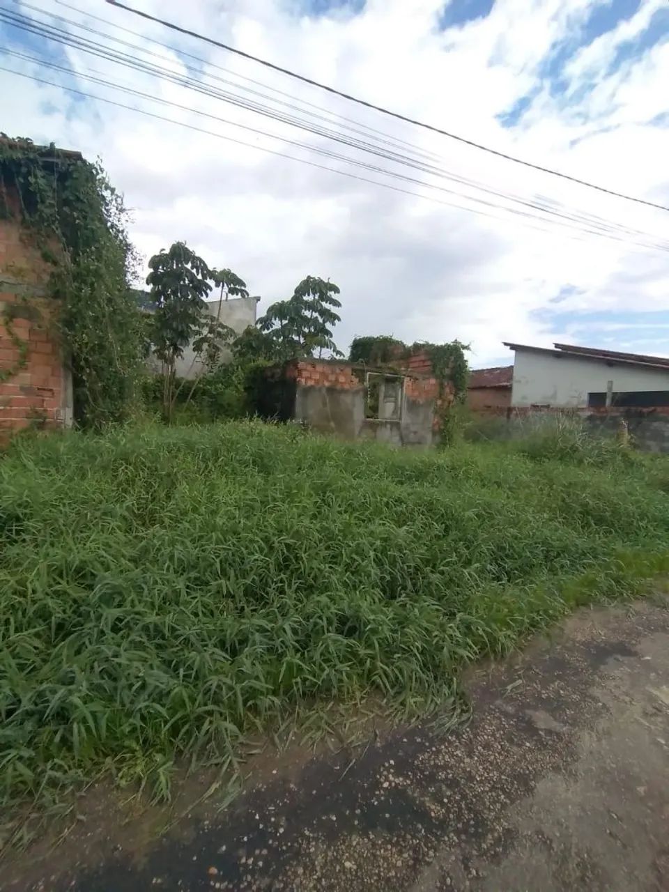 Lote 8x18