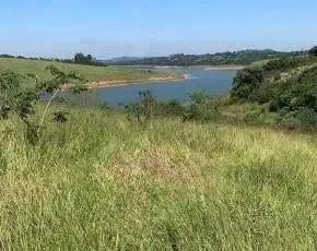 Lote/Terreno para venda com 1000 metros quadrados - Foto 4