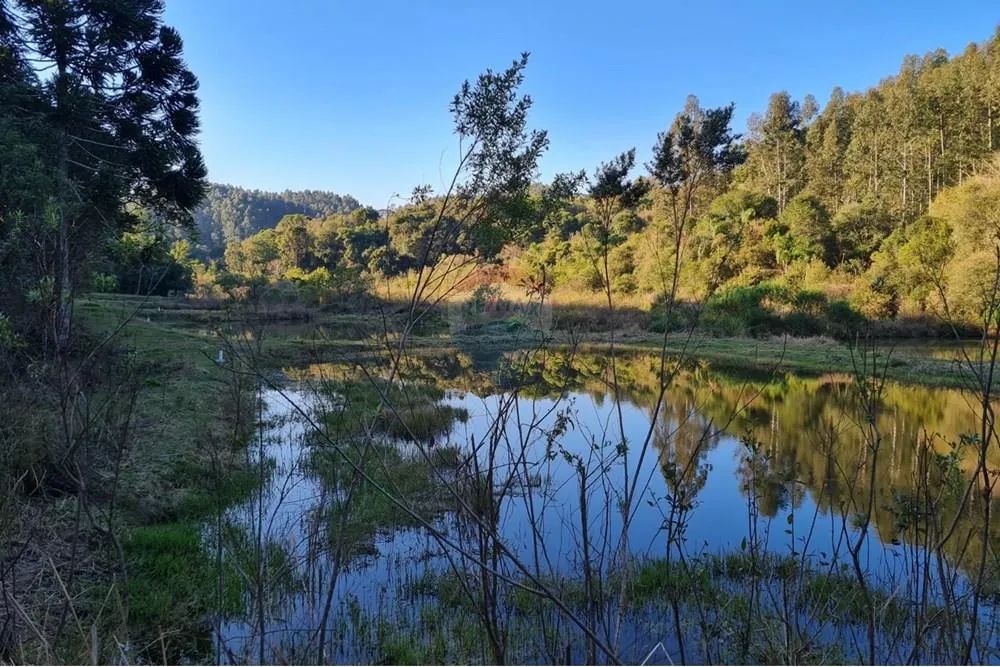 Chácara à venda com 52.000m² e cinco tanques em Mandirituba - Foto 5