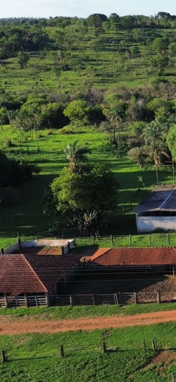 Excelente fazenda no triângulo mineiro  - Foto 3