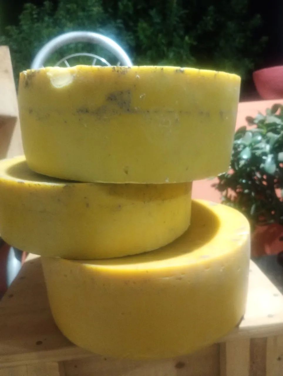 Cera de abelhas apis  - Foto 3