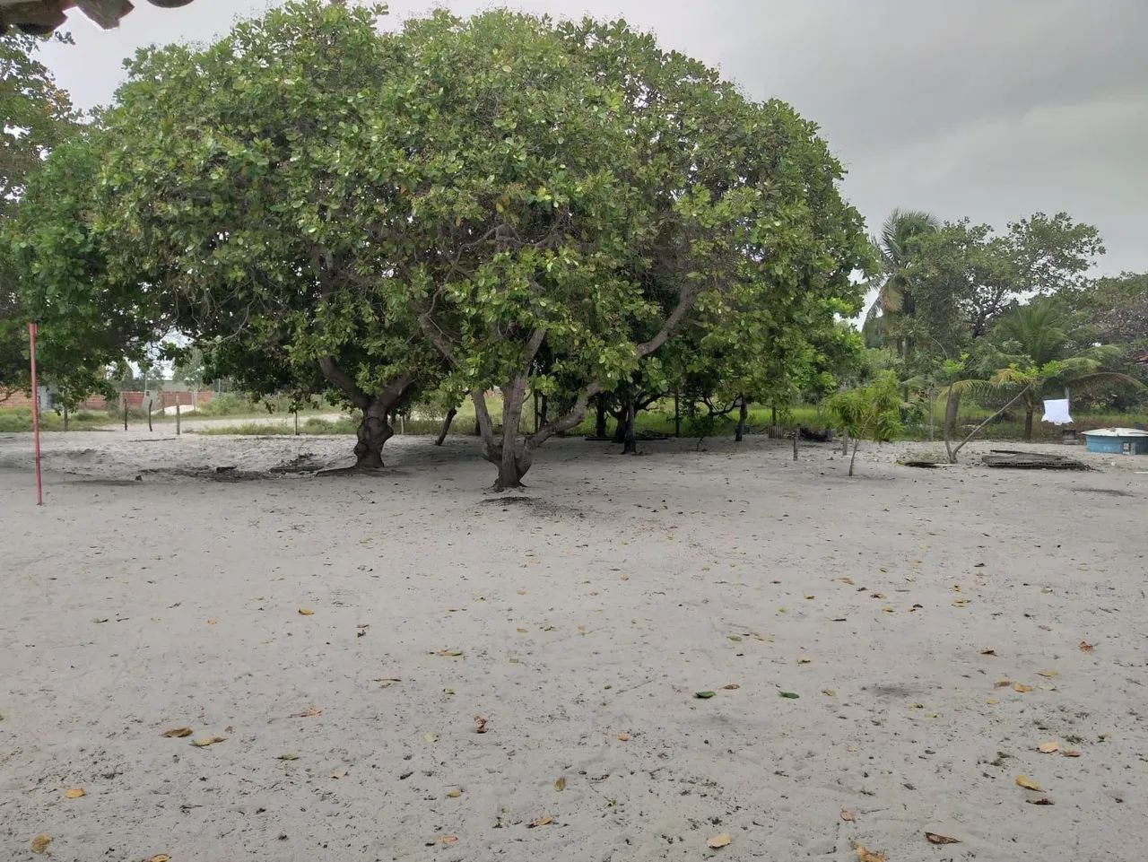 Casa/Granja em Jacumã - Foto 4