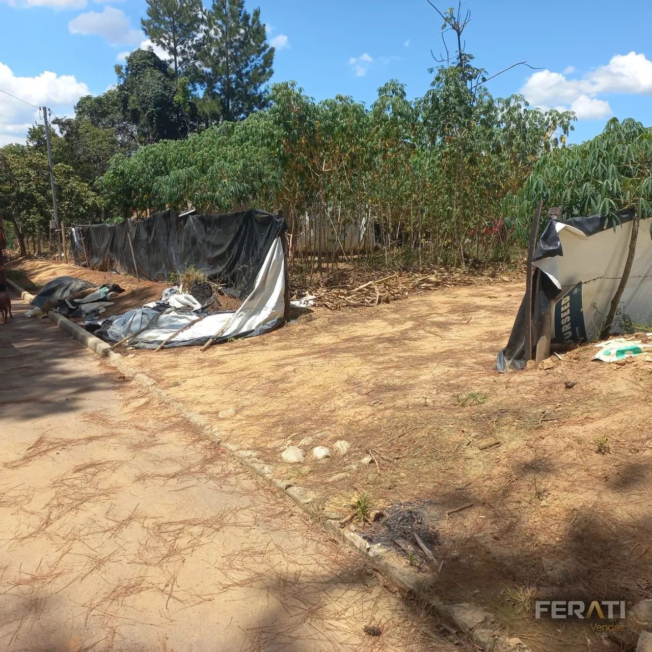 Venda Lote Caldas Novas - Foto 5