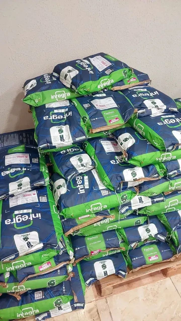 Semente de Mombaça 10kg revestida Facholli (Safra Nova) - Foto 3