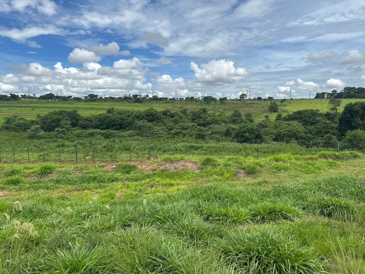 Foto - Goiânia - Alto da Glória