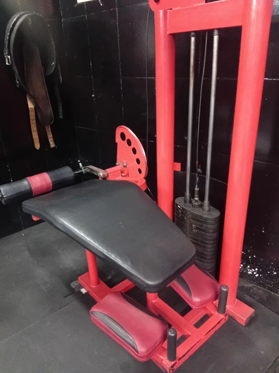 Mesa flexora GURIK